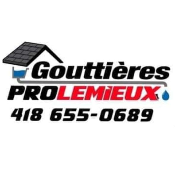Gouttières pro Lemieux